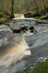 River Roddlesworth