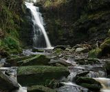 Limestone Brook