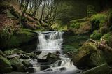 Limestone Brook