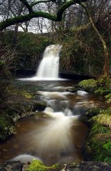 Lockin Garth Force
