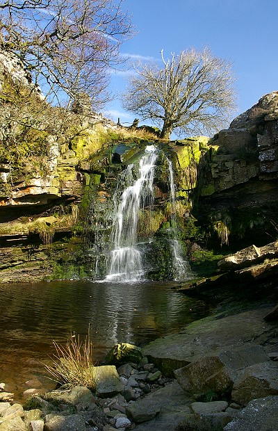 Goodber Beck
