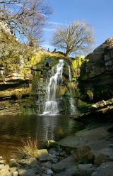 Goodber Beck