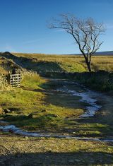 View away from Bullpot Farm