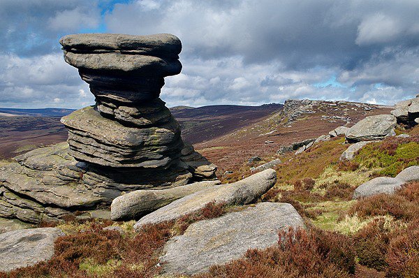 The Salt Cellar