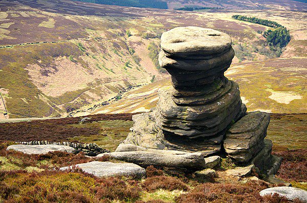 The Salt Cellar
