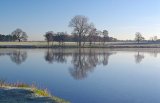 Reflections in Tatton Mere