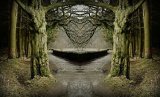 The Forked Path