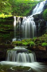 Scaleber Force