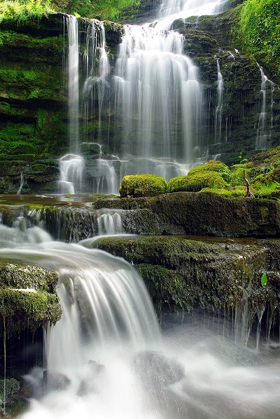 Scaleber Force