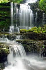 Scaleber Force