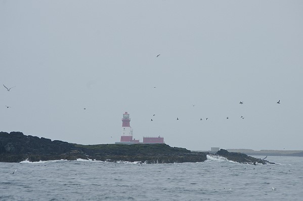 View Towards Longstone Lighthouse