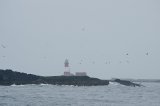 View Towards Longstone Lighthouse
