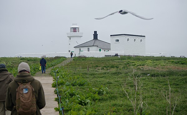 Lighthouse On Inner Farne