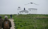 Lighthouse On Inner Farne