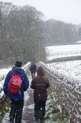 Winter Walk