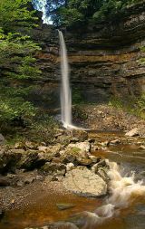 Hardraw Force