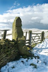The Wizard Of Whirlaw