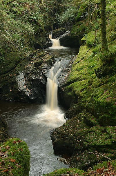 Afon Cynfal