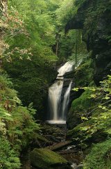 Afon Cynfal