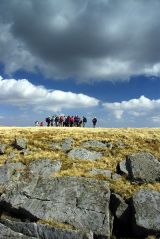 Big gathering on a small hilltop