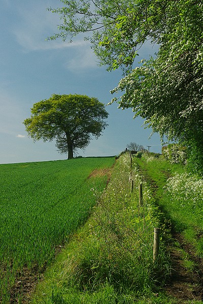 Countryside near Chesterfield