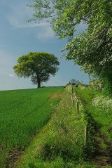 Countryside near Chesterfield