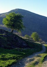 View towards 'The Pike'