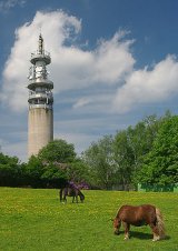 Heaton Park and the BT Tower