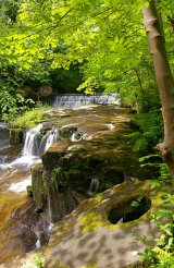 River Ogden