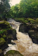 The Strid