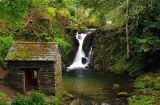 Rydal Force
