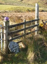'Tearoom this way!'