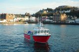 Oban Harbour