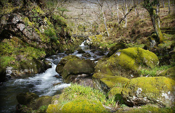 Afon Goedol