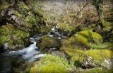 A Ffestiniog Walk