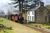 Narrow Guage Steam Train