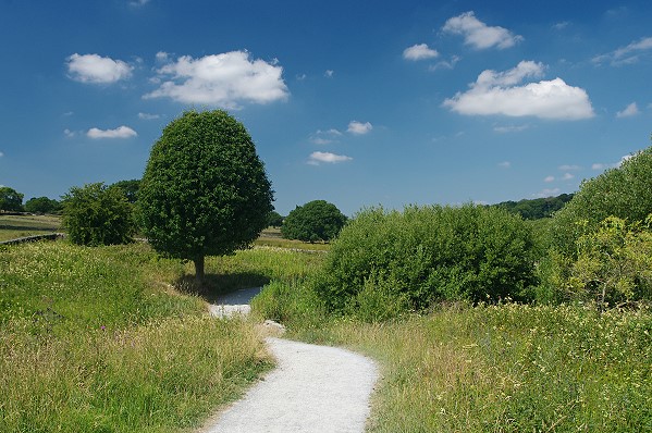Fewston Reservoir Path