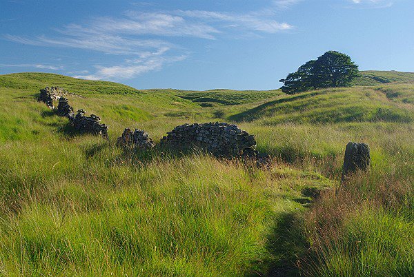 A view towards Great Hill