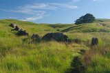 A view towards Great Hill