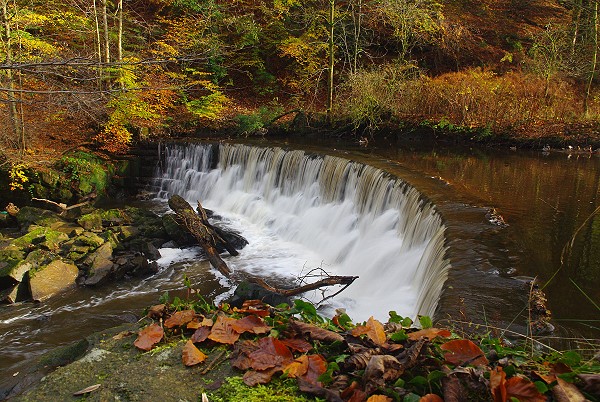 River Darwen