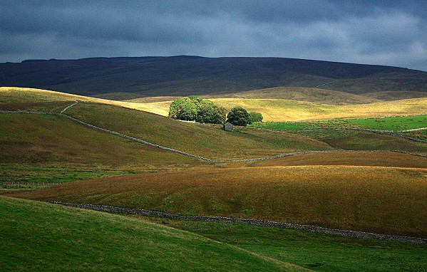 Ribblesdale