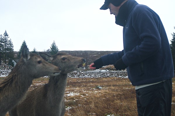 Feeding Time