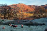 Loughrigg Tarn