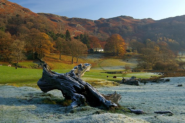 Loughrigg Tarn area