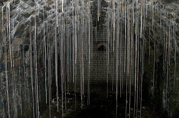 Stalagtites