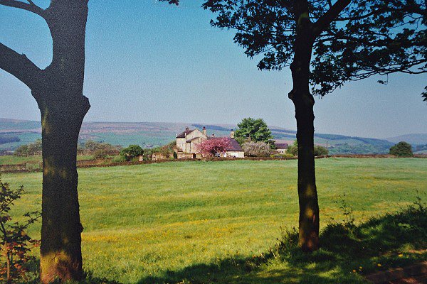 An Edgworth Meadow