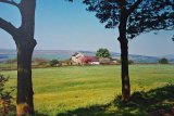 An Edgworth Meadow