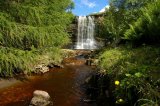 Hell Gill Force