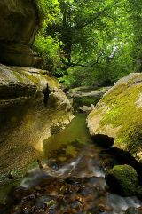 How Stean Beck