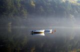 Misty Morning